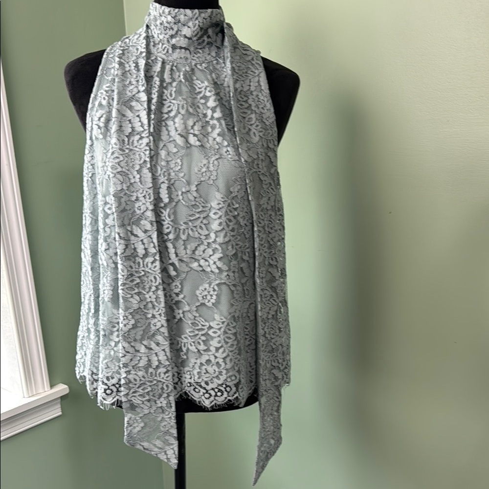 Rye grass, sage lace overlay top large